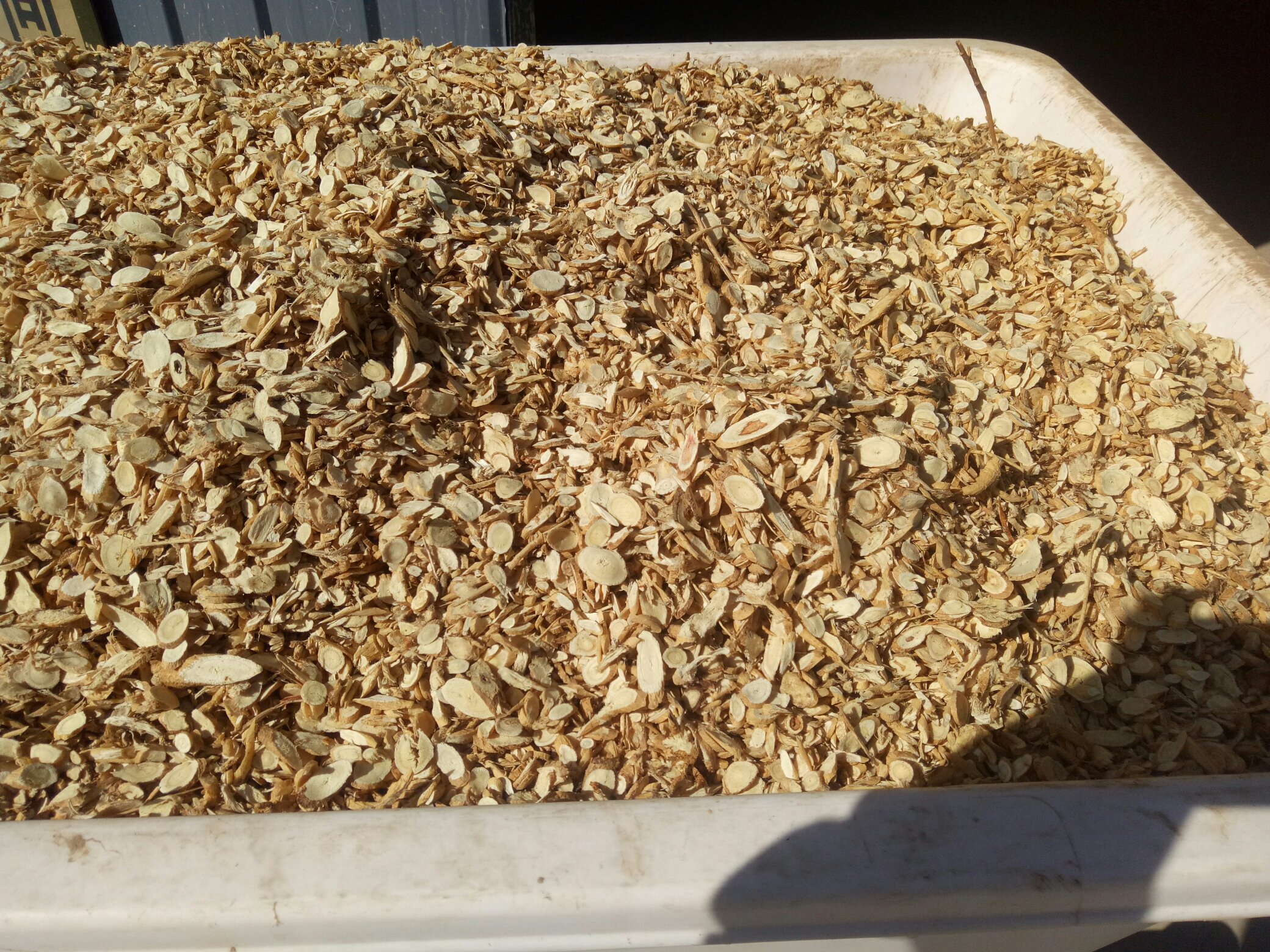 中药材黄芪与黄芩展示图