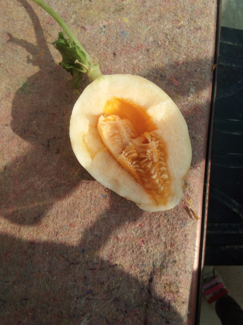 东方蜜，