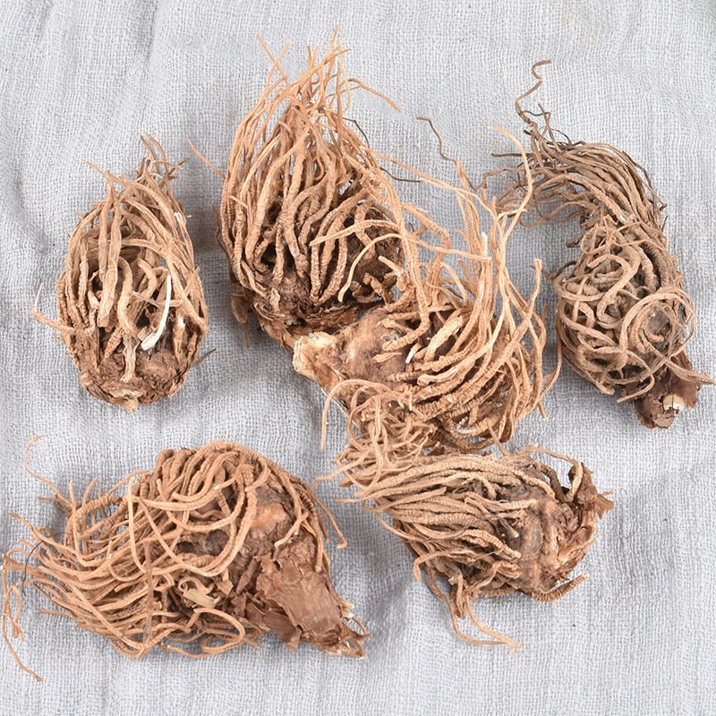 延龄草头顶一颗珠芋儿七无硫净货批发零售冷背中药材