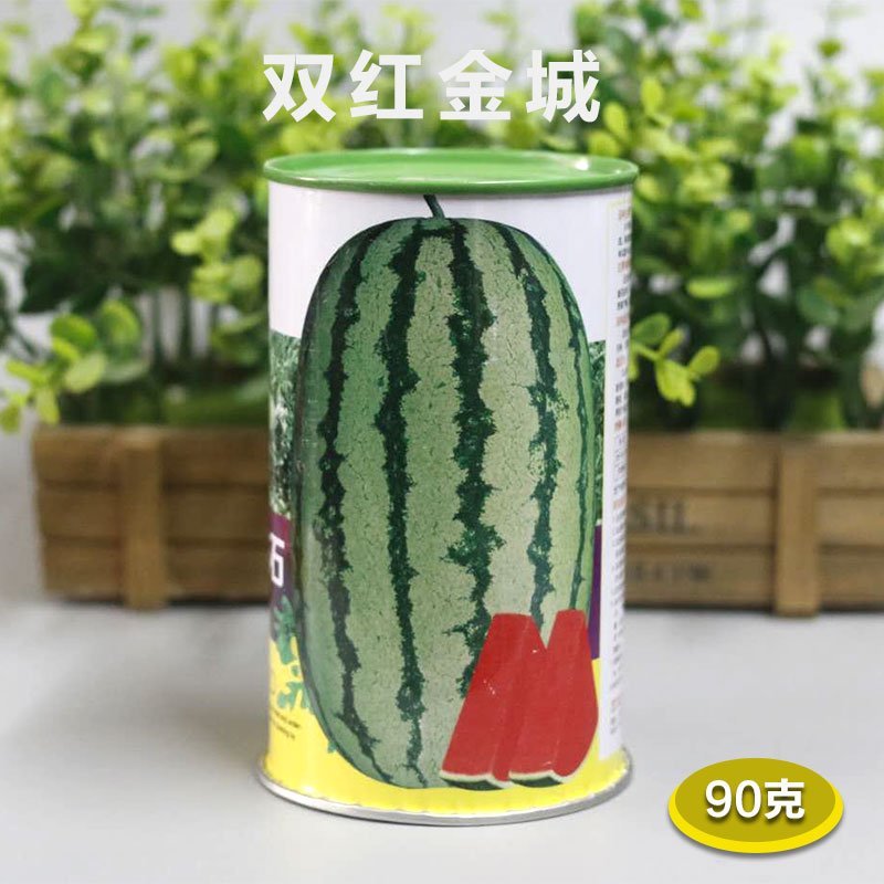 双红金城五号西瓜种子原装正品甘肃压砂瓜优良品种耐旱早熟
