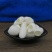 开口蚕茧壳指套天然美容蚕茧无硫选货可洗脸泡茶药用50g装