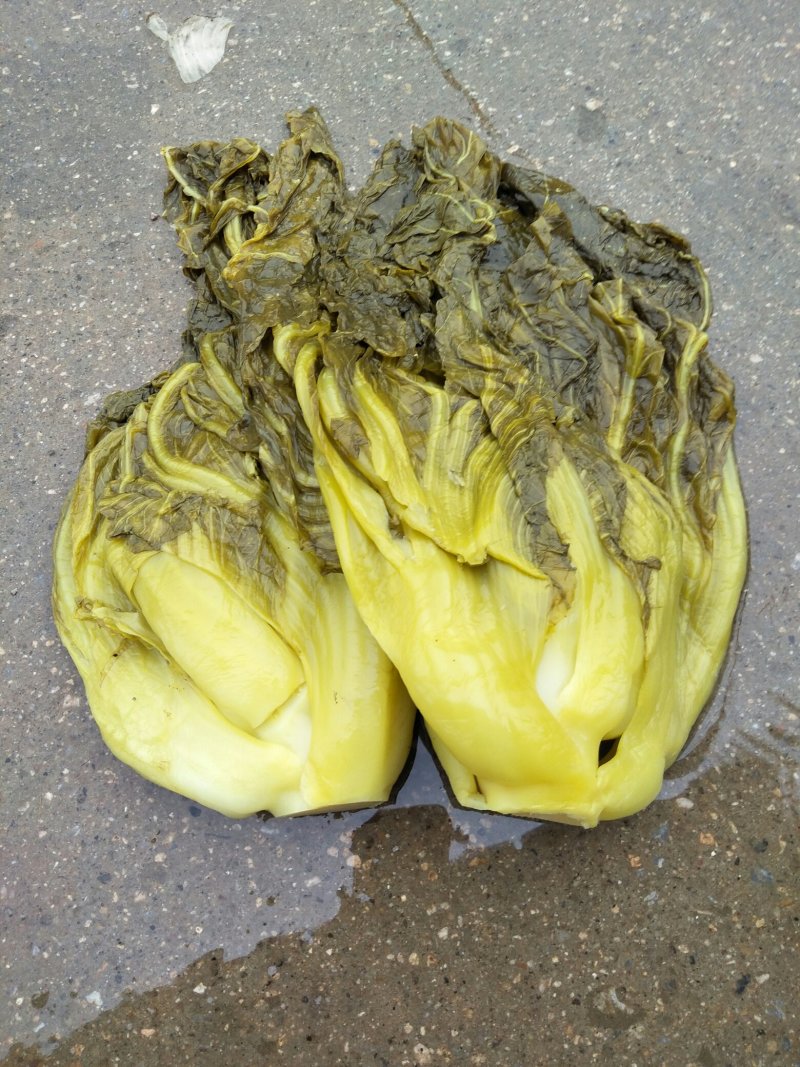 酸菜