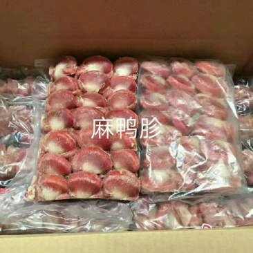 山东麻鸭胗新鲜冷冻品质保证厂家直发量大从优欢迎咨询
