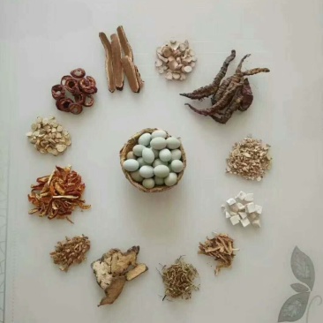 桂花雀芦丁鸡种蛋成活率高提供养殖技术量大从优