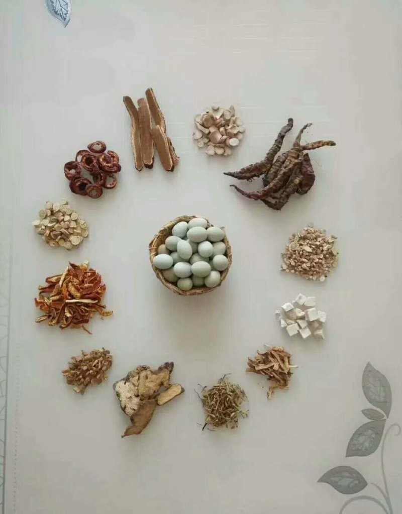 桂花雀芦丁鸡种蛋成活率高提供养殖技术量大从优
