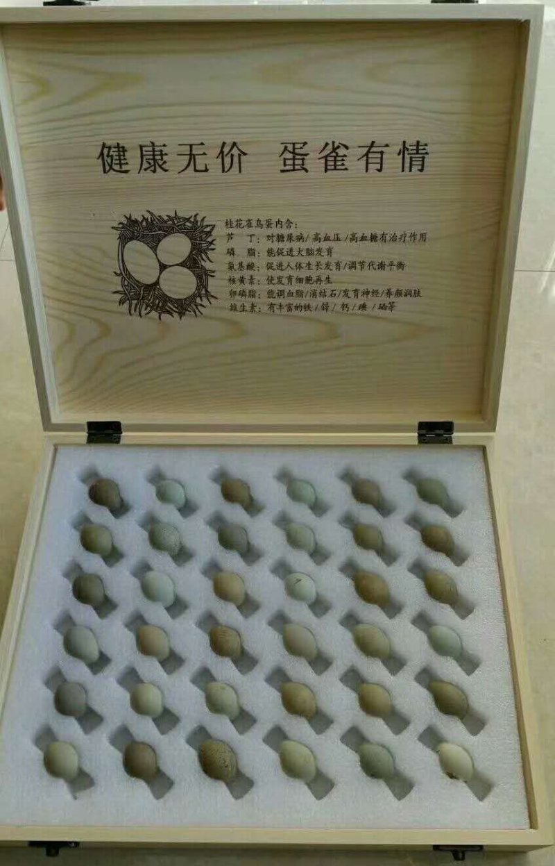 桂花雀商品蛋种蛋鸟蛋基地常年供应保质保量欢迎采购