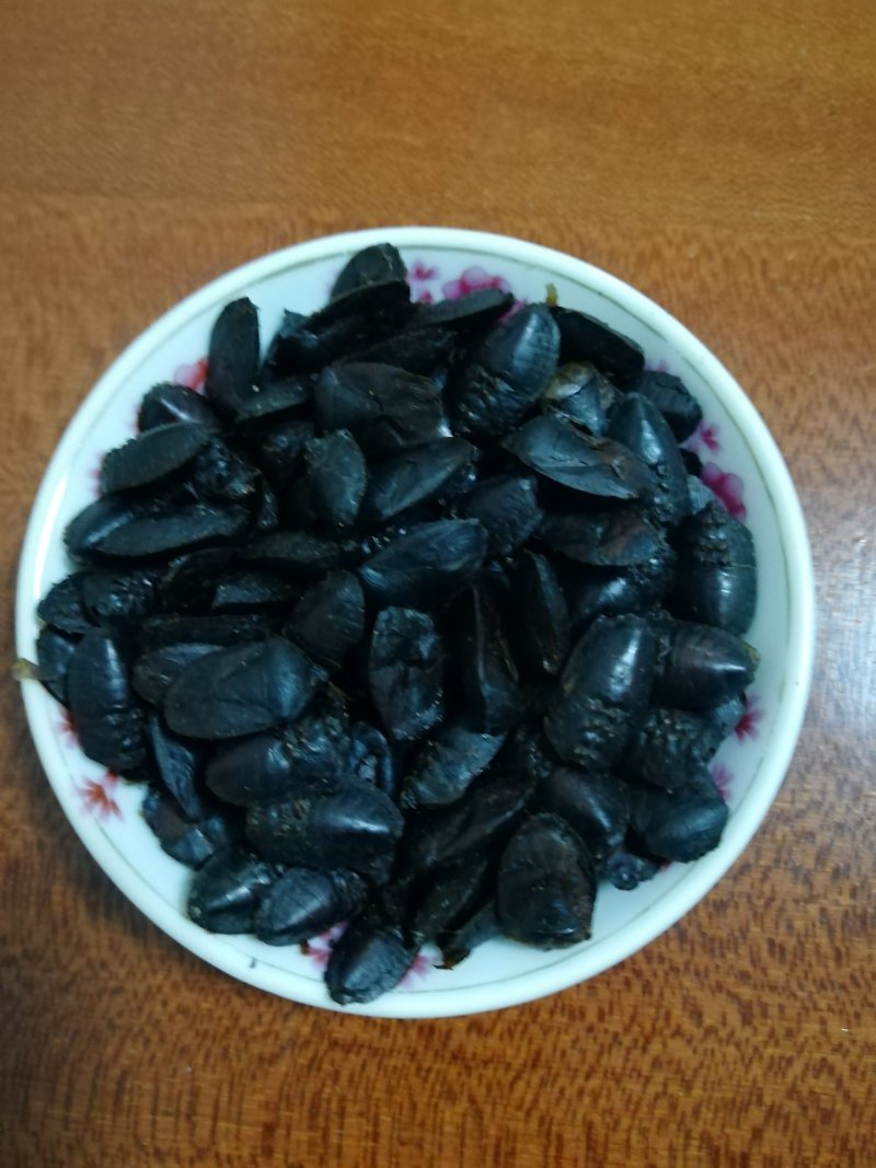 九香虫