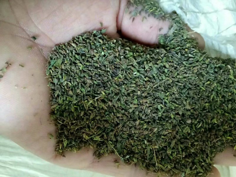 甘肃陇西产地纯新红根直条北柴胡籽，过风过筛干净货货优价廉