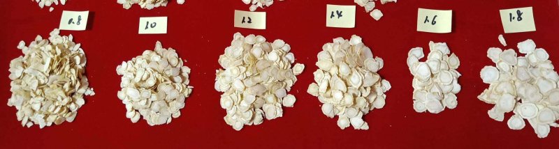 【包邮】西洋参片长白山0.8规格软支硬支250克