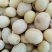 大豆