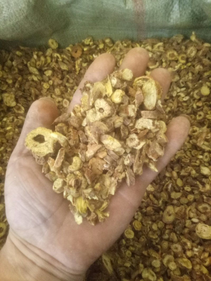 产地直销山西黄芩，各种规格，欢迎新老客户前来洽谈订购