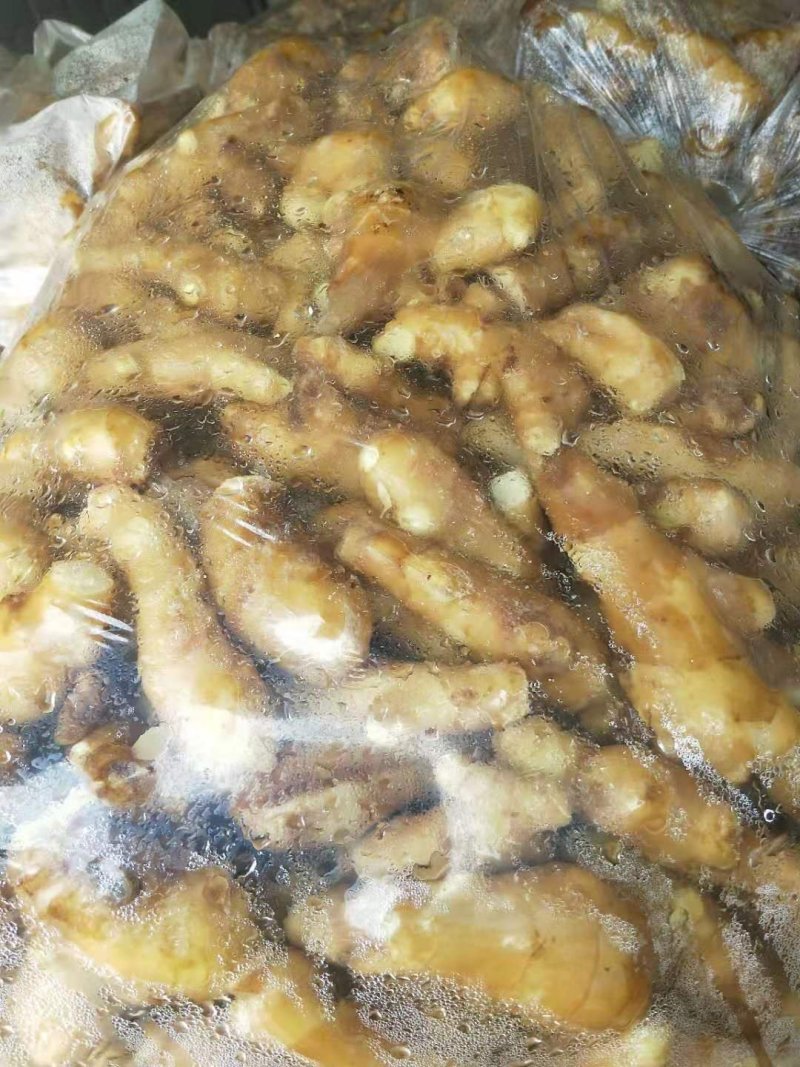 姜巴一两到四两