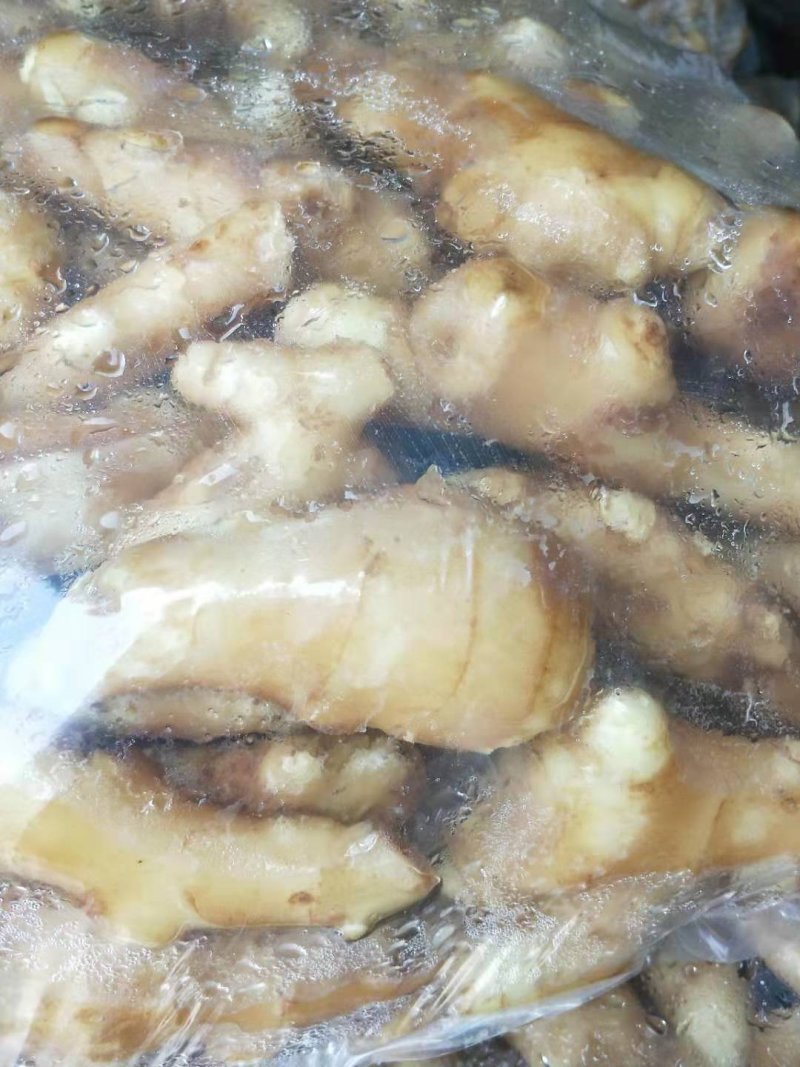 姜巴一两到四两