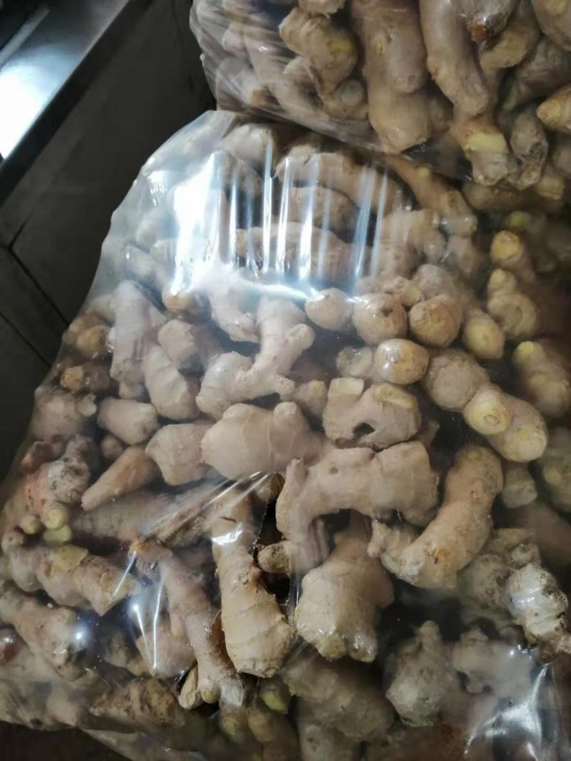 优质姜巴