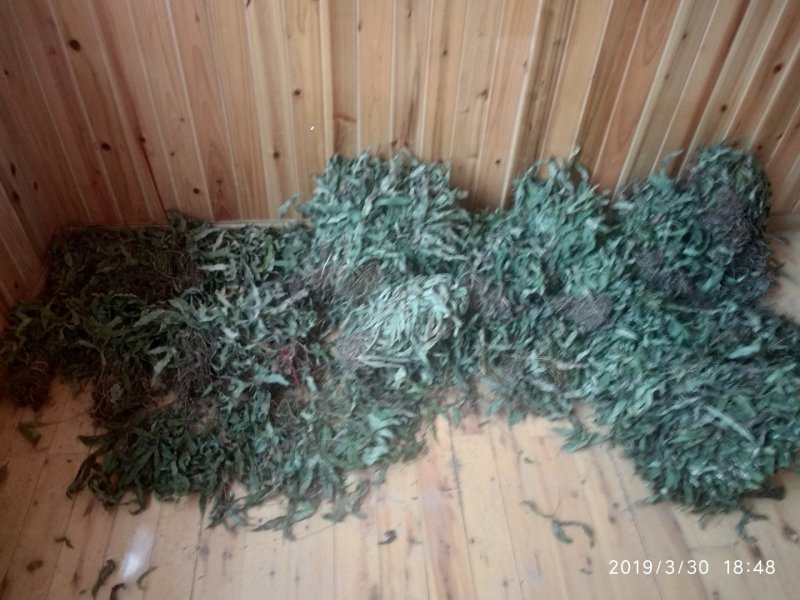 贵州铜仁野生金鸡脚干货鸭脚草干品鸭跖草阴干金鸡爪无杂质