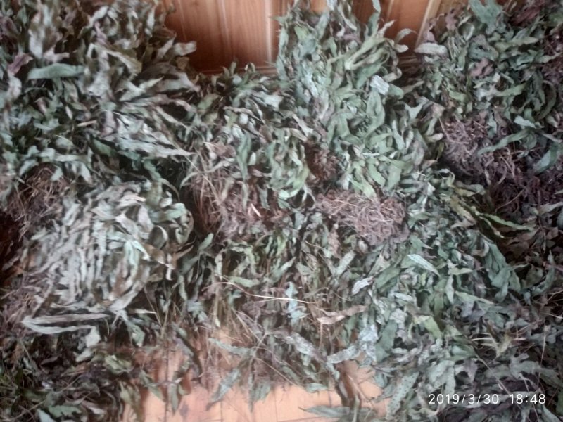 贵州铜仁野生金鸡脚干货鸭脚草干品鸭跖草阴干金鸡爪无杂质
