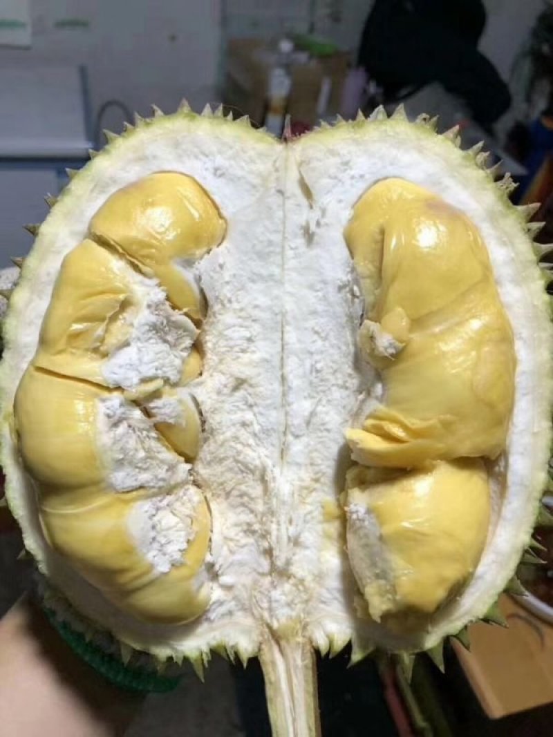 泰国榴莲