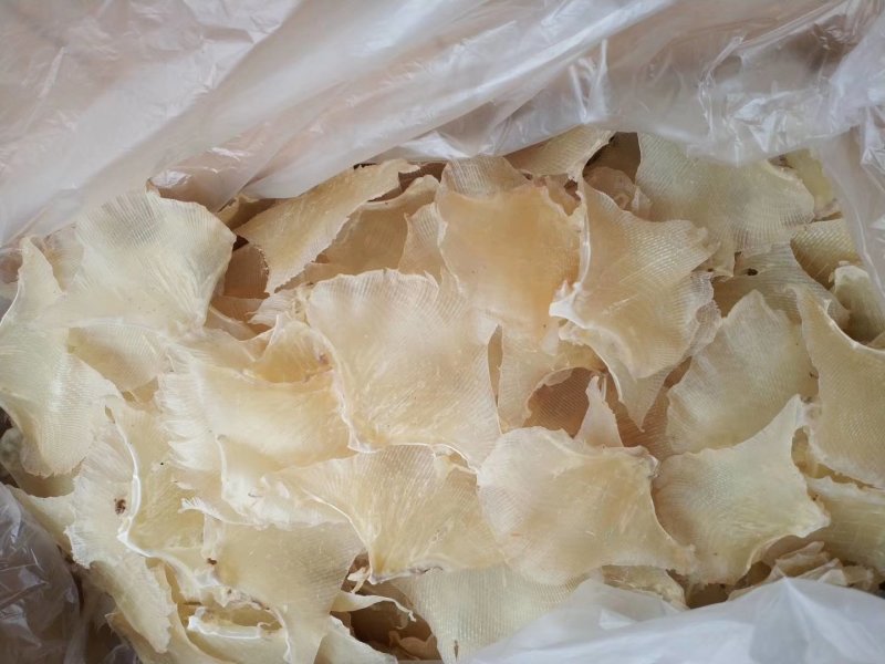 鱼翅，浦鱼翅，海鲜干货，新鲜鱼翅酒席专用原材料