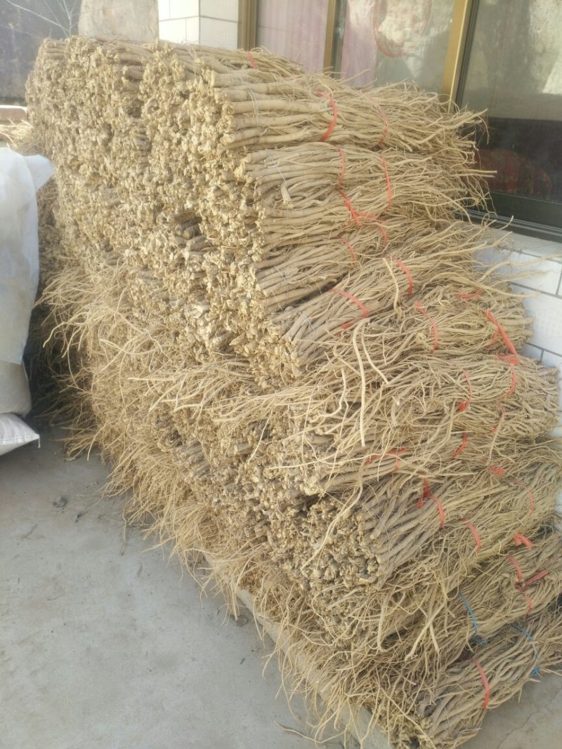 黄芪！各成分含量都达标！