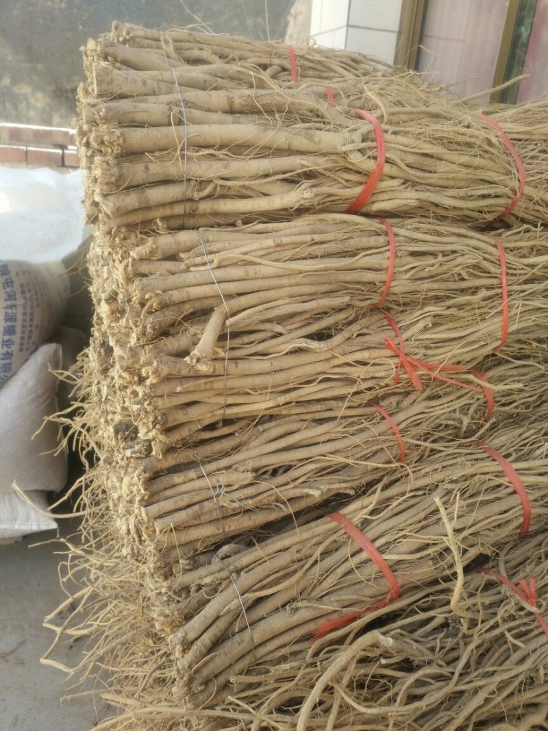 黄芪！各成分含量都达标！
