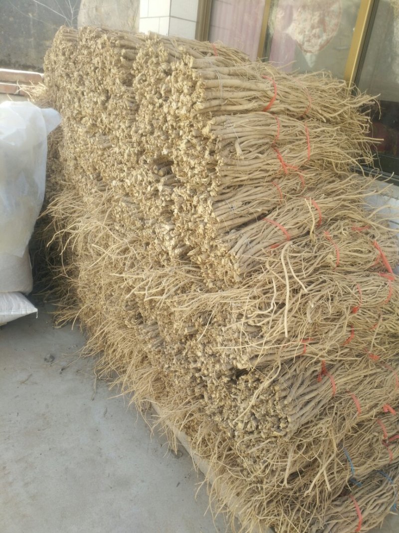 黄芪！各成分含量都达标！