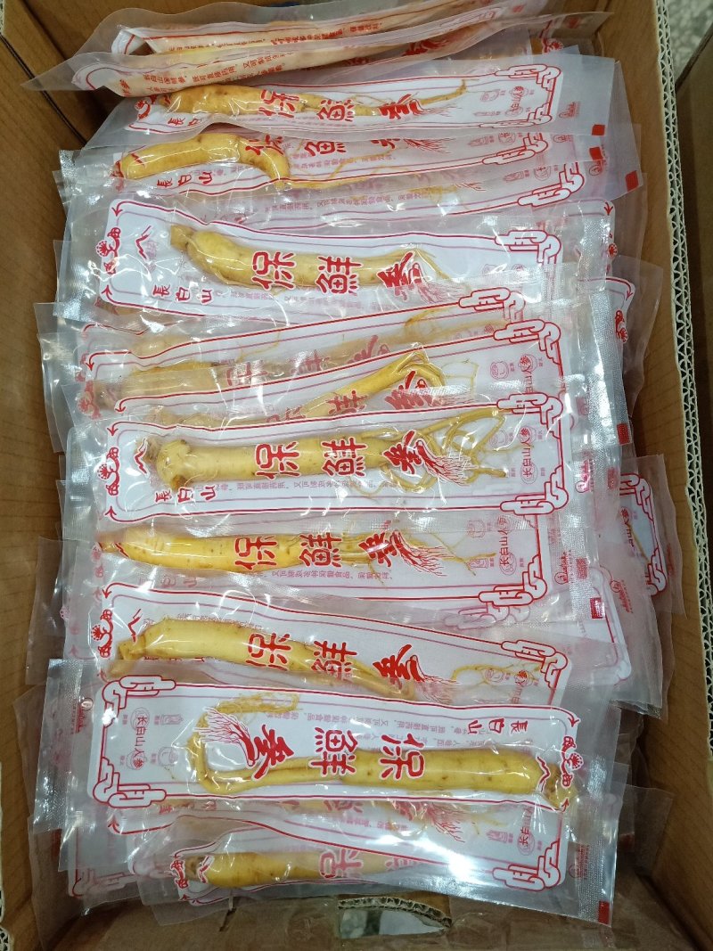 保鲜参保鲜人参泡酒参吉林长白山各种规格