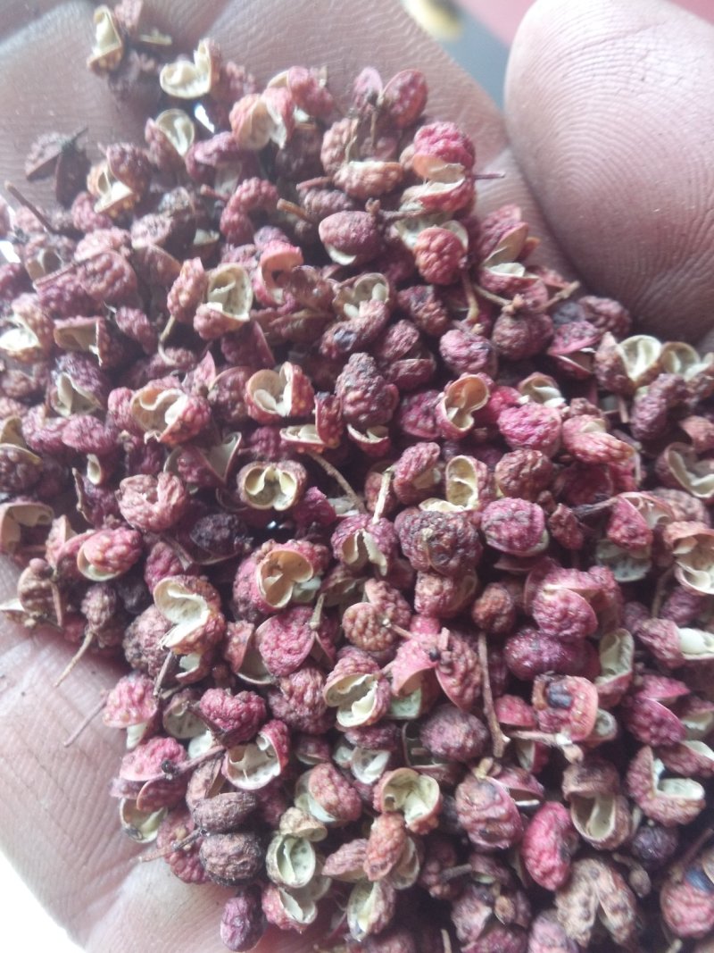 山东莱芜大红袍花椒
