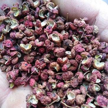山东莱芜大红袍花椒