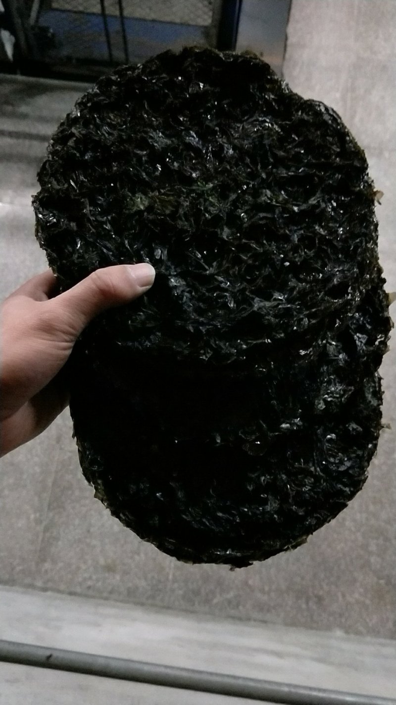 霞浦紫菜福建霞浦烘干厂一手货源