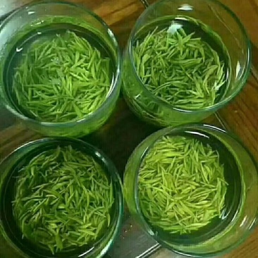 茶叶