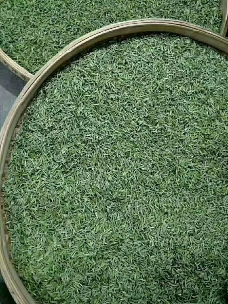 茶叶