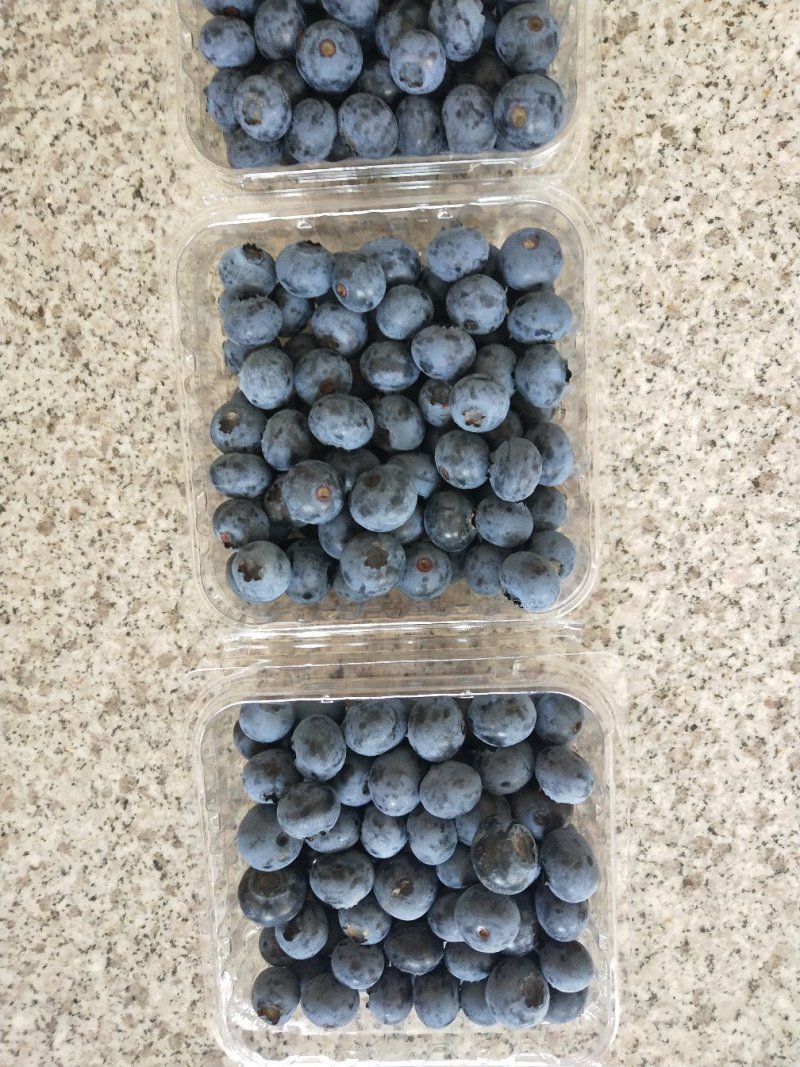 青岛地区头茬大果蓝莓口感脆甜爽口个大饱满