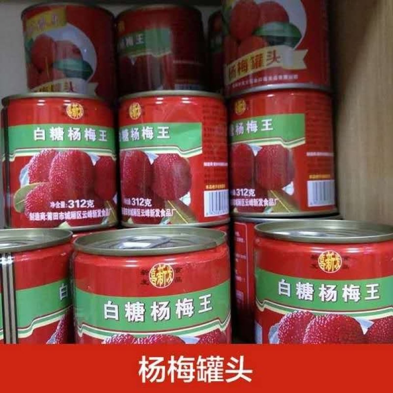 湖南新化特产福建白糖杨梅罐头糖水易拉罐