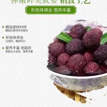 湖南新化特产福建白糖杨梅罐头糖水易拉罐