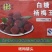 湖南新化特产福建白糖杨梅罐头糖水易拉罐