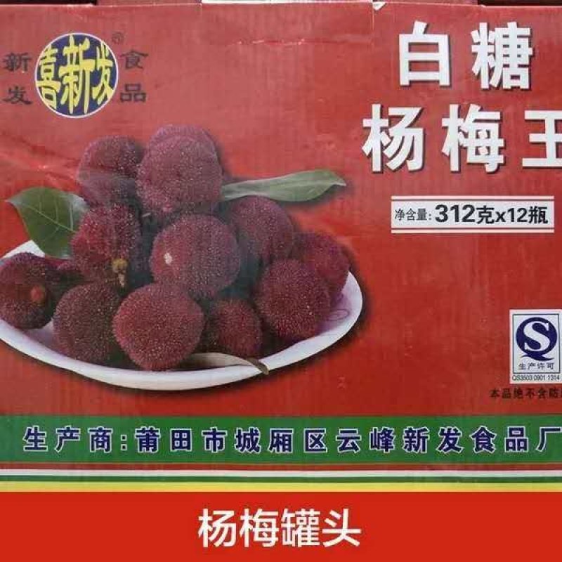 湖南新化特产福建白糖杨梅罐头糖水易拉罐