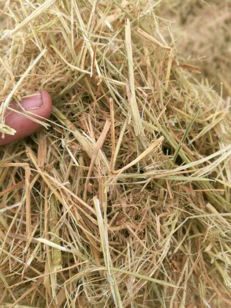 厂家直销牛羊饲料柔丝稻壳打包稻草