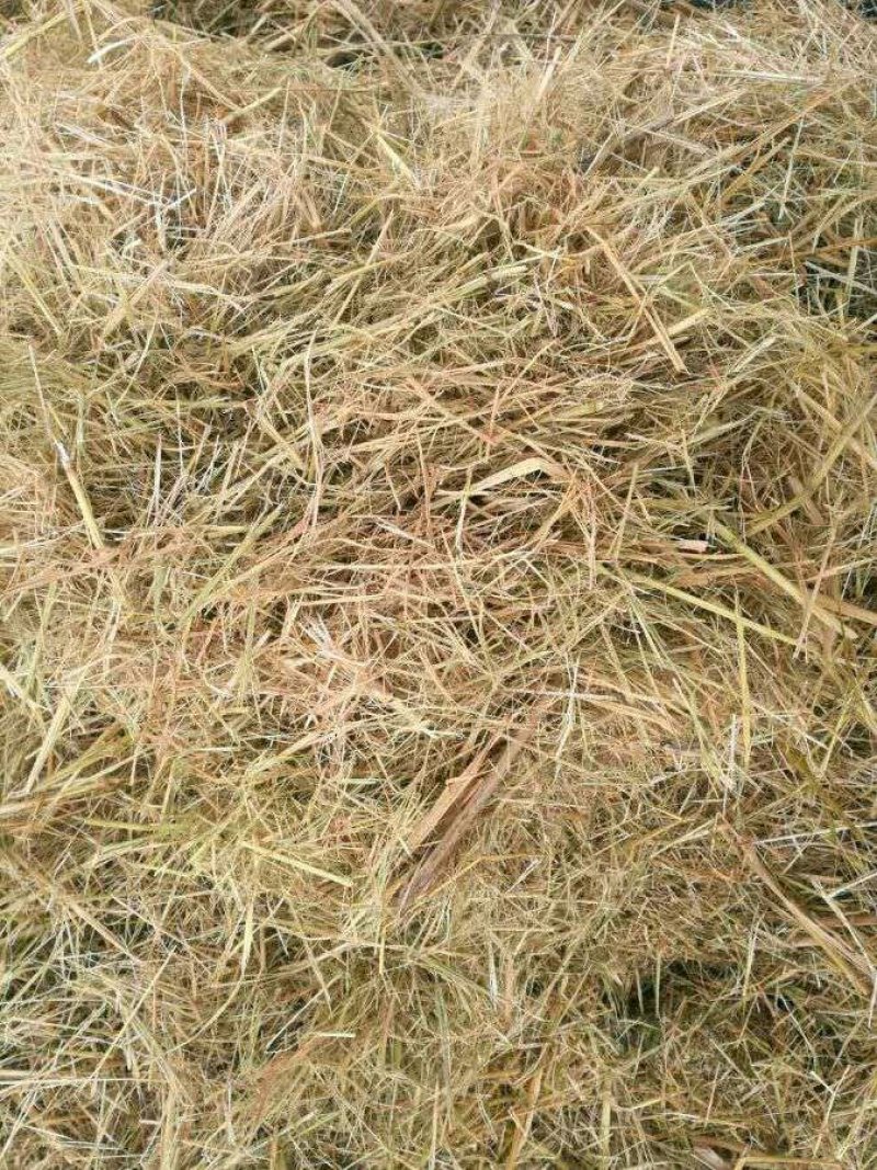 厂家直销牛羊饲料柔丝稻壳打包稻草