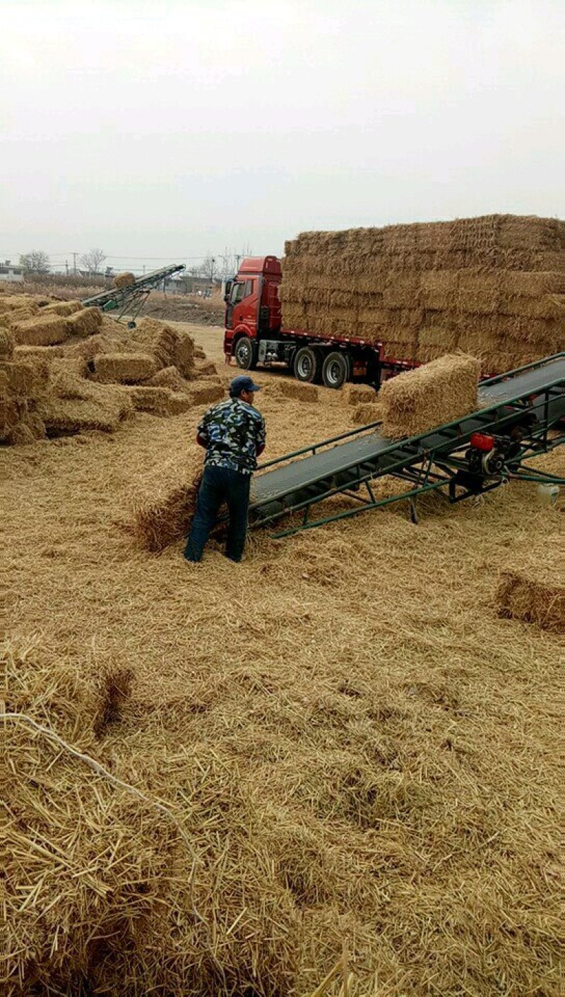 厂家直销牛羊饲料柔丝稻壳打包稻草