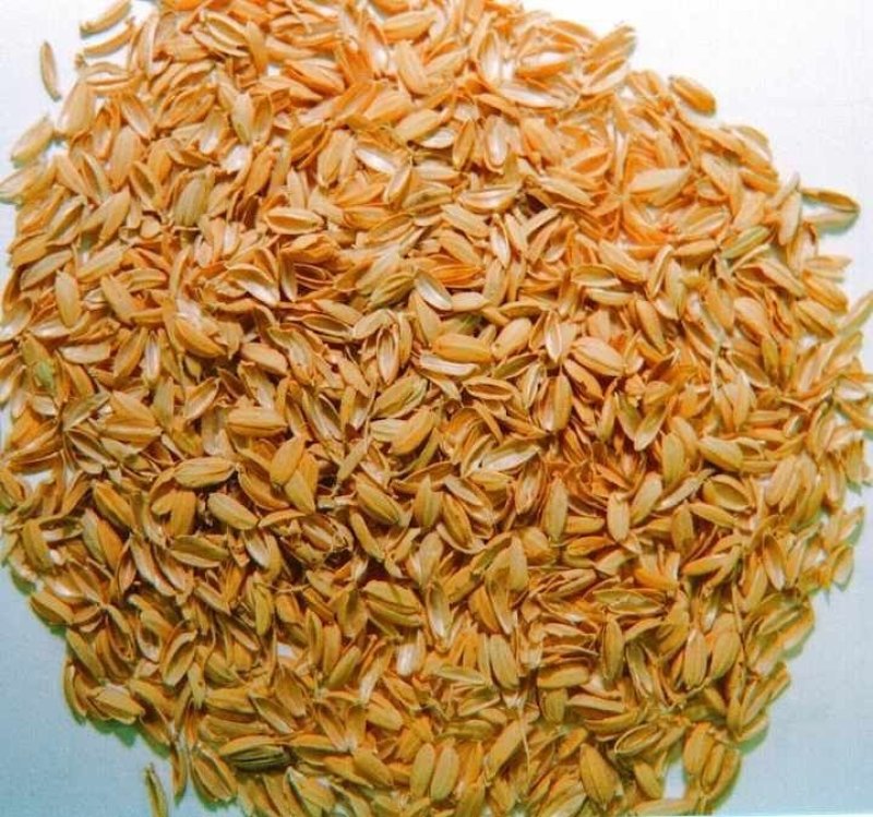 厂家供应压缩稻壳散装稻壳垫料稻壳工业稻壳