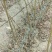 绿化苗木红叶碧桃小苗规格1公分左右菊花碧桃龙柱碧桃树苗