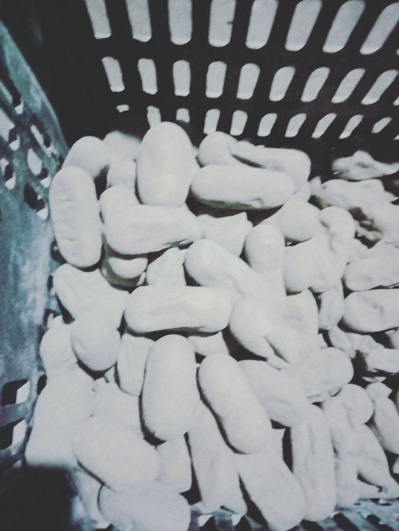 旧城灰豆腐果