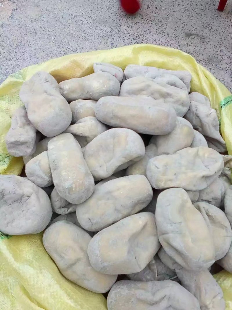 旧城灰豆腐果