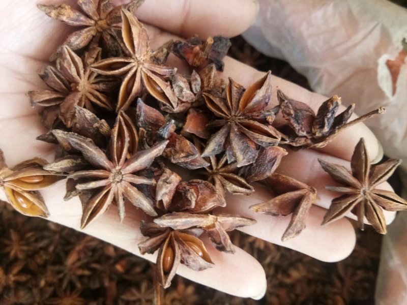 八角茴香八角大茴香香料烧菜调料无硫熏天然批发零售