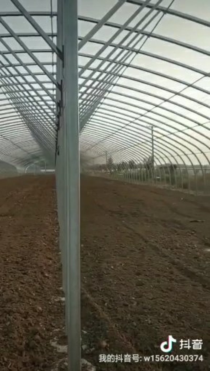 养殖大棚养猪大棚羊牛大棚包塑热镀锌骨架