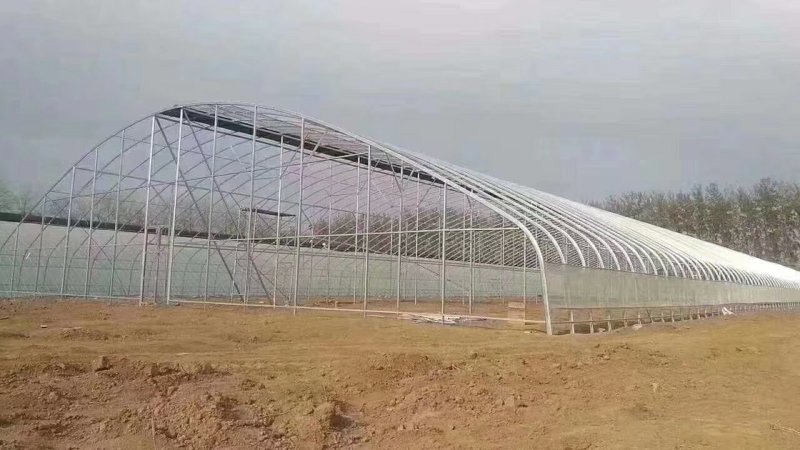 养殖大棚养猪大棚羊牛大棚包塑热镀锌骨架