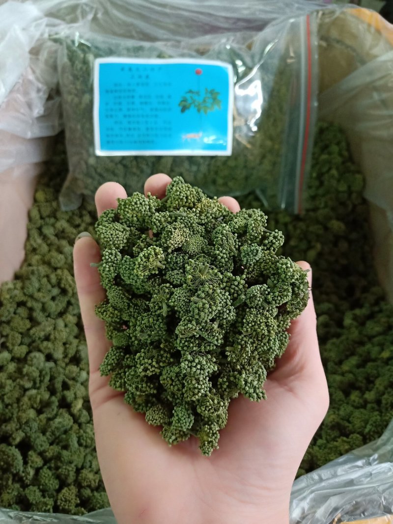 田七花三七花