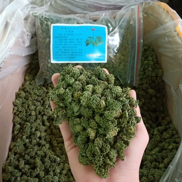 田七花三七花