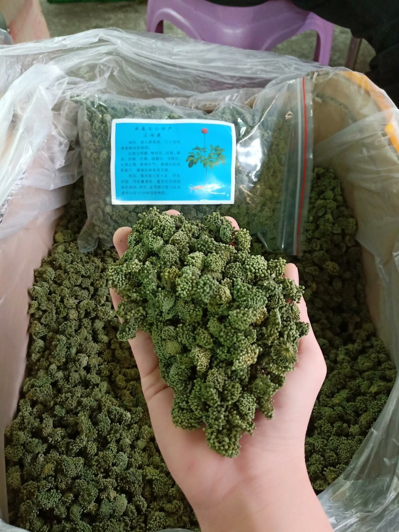 田七花三七花