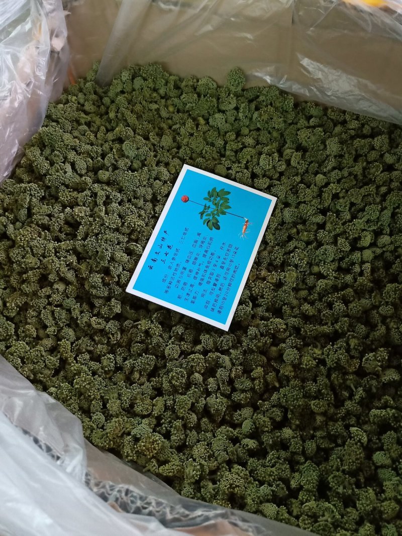 田七花三七花